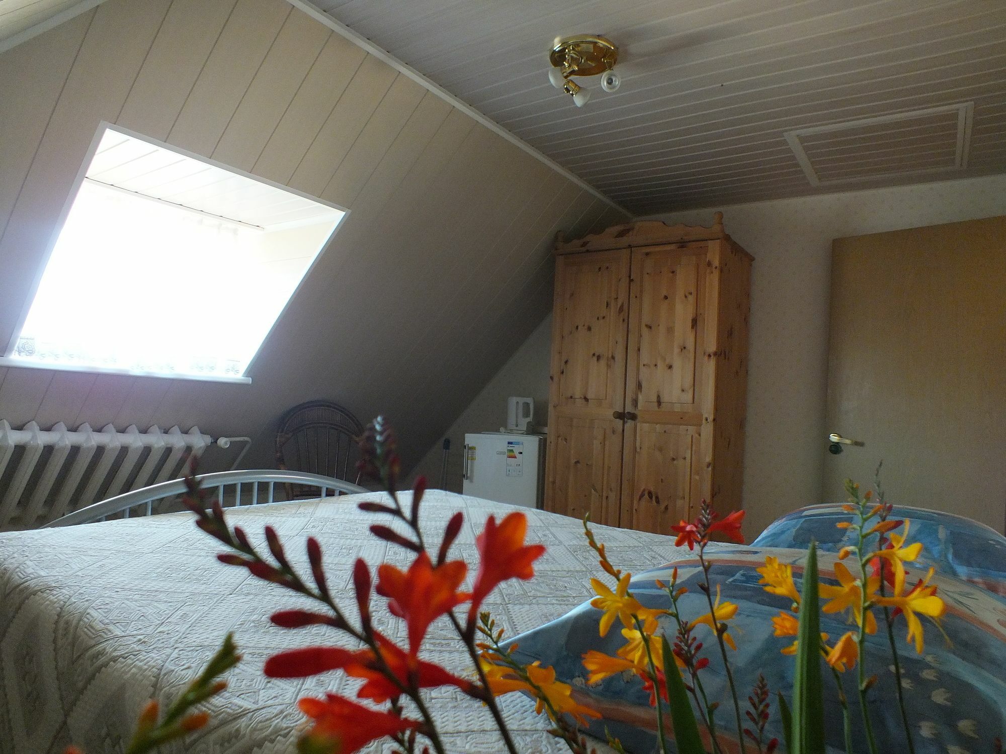 Villa Zveju 29 พาลังกา ภายนอก รูปภาพ